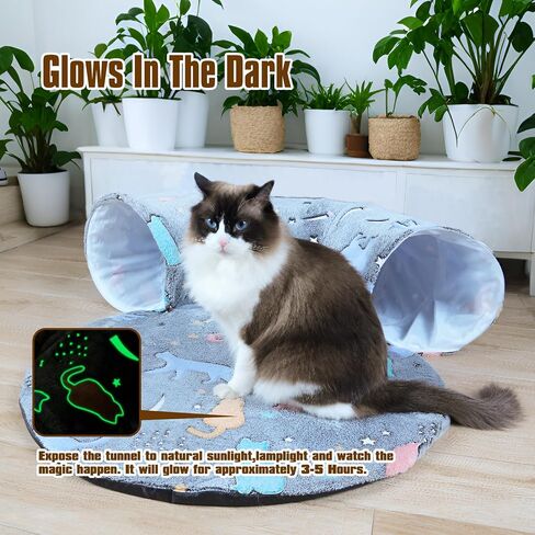 Cat Tunnel Bed,Cat Tunnel Bed with Soft Central Cat Couch,Cat Toys for Indoor Cats,Self-Luminous Collapsible Peekaboo Cat Cave,Cat Donut Tunnel and Kitty Toy Set in Saudi Arabia