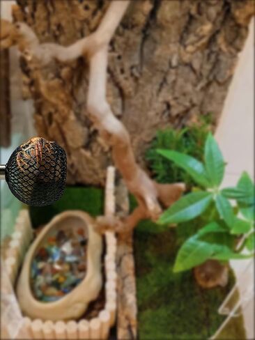2PCS Jumping Spider Hide Jumping Spider Enclosure Accessories Pet Spider Hideout Enclosure Accessories (Not Included The jumping Spider Terrarium) in Saudi Arabia