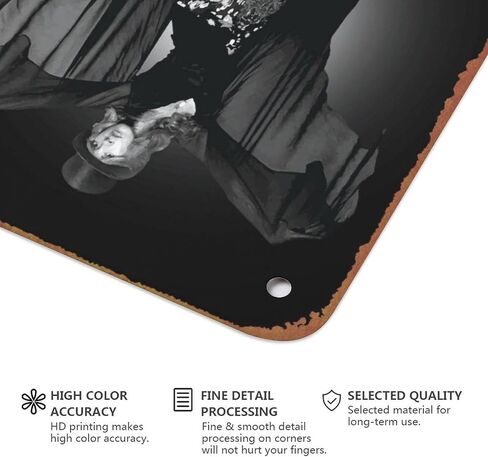 البوب ​​كوينز ستيفي نيكس معدن القصدير تسجيل ملصق خمر الفن جدار ديكور 12 × 8 بوصة in Kuwait