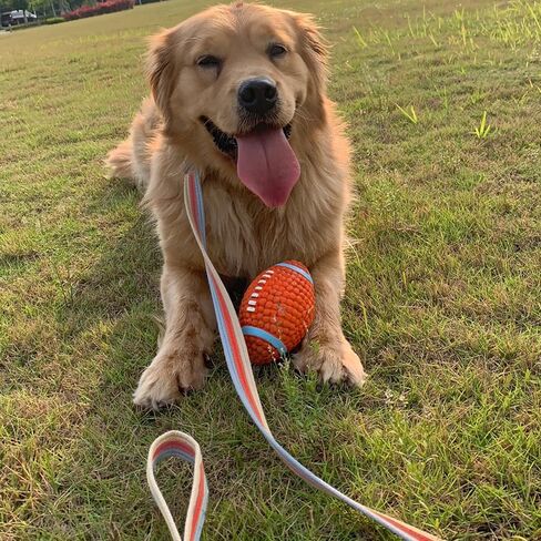 10FT / 15FT / 20FT Anti-Choke Slip Lead Dog Leash, 1" Wide Soft Thick Long Training Leash for Strong Small Medium Large Dogs (red-20ft) in Kuwait