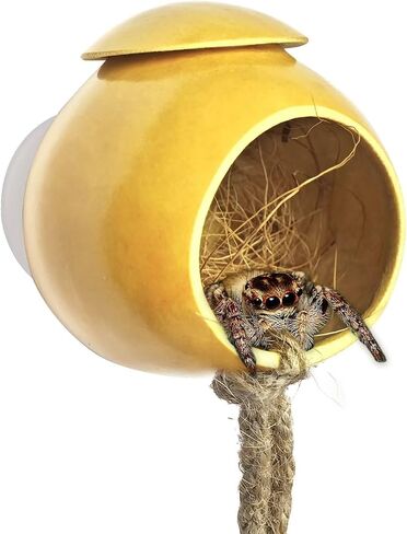 Jumping Spider hide, Natural Gourd Jumping Spider Habitat with Suction Cup, Handmade Spider Enclosure Accessories, Tarantula Enclosure, Spider Climbing Toys in Saudi Arabia