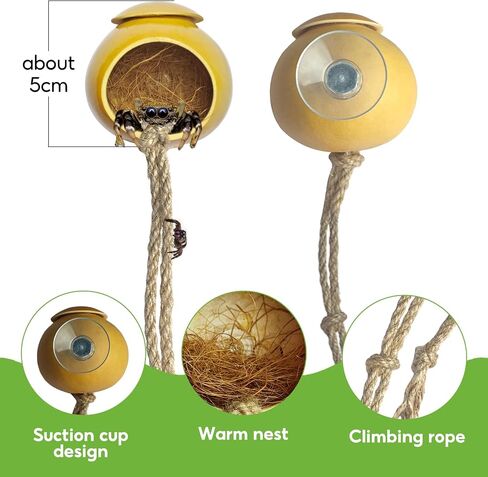Jumping Spider hide, Natural Gourd Jumping Spider Habitat with Suction Cup, Handmade Spider Enclosure Accessories, Tarantula Enclosure, Spider Climbing Toys in Saudi Arabia