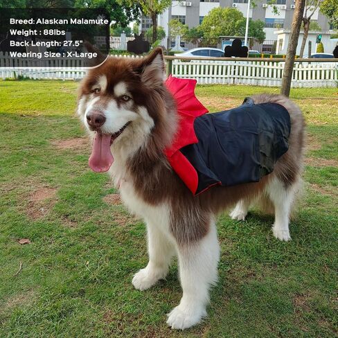 Funny Halloween Dog Cat Vampire Cloak Costume Stand-Collar Design Pet Cape Cosplay Apparel Holiday Party Dress Up Decoration in Saudi Arabia