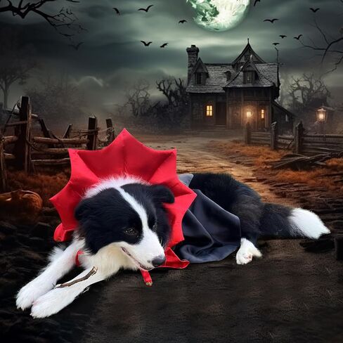 Funny Halloween Dog Cat Vampire Cloak Costume Stand-Collar Design Pet Cape Cosplay Apparel Holiday Party Dress Up Decoration in Saudi Arabia