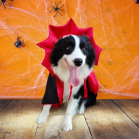 Funny Halloween Dog Cat Vampire Cloak Costume Stand-Collar Design Pet Cape Cosplay Apparel Holiday Party Dress Up Decoration in Saudi Arabia