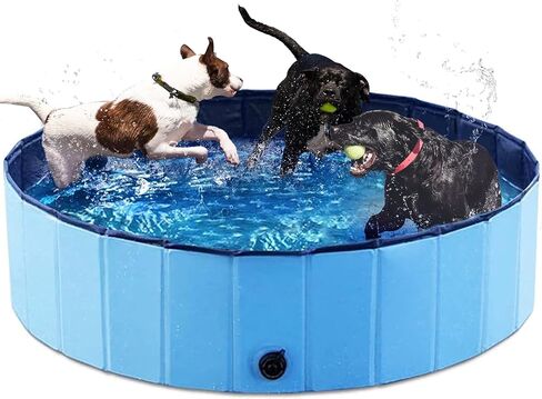 Cat Pool Toy with Interactive Fish-Water Cat Toys-Portable Cat Pool Toy, Cat Toys for Bored Indoor Cats Interactive Cat Toys for Self Play Enrichment in Saudi Arabia