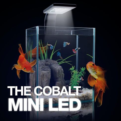Cobalt Aquatics Freshwater Plant LED Light – 8000K - Black - Perfect for Fish Aquariums & Tanks - Enhances Aquarium Decorations & Plant Growth in Saudi Arabia