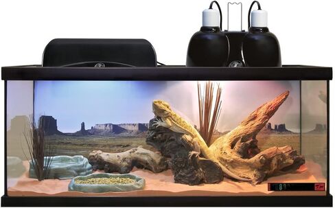 Zoo Med Laboratories SZMNTS21 Reptihabitat 20 Long Snake Starter Kit in Saudi Arabia