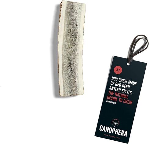 Dog CHEW Made of RED Deer Antler Splits Large in Saudi Arabia