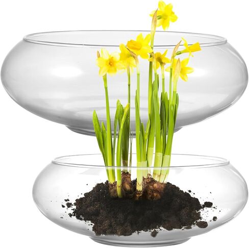 POPETPOP Glass Vase Bowl, 2pcs Wide Mouth Flower Vase Round Terrarium Glass Fish Bowl Hydroponic Planter Floral Container for Table Centerpiece, Wedding Event, Home Decoration in Saudi Arabia