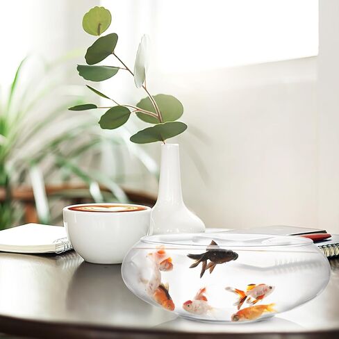 POPETPOP Glass Vase Bowl, 2pcs Wide Mouth Flower Vase Round Terrarium Glass Fish Bowl Hydroponic Planter Floral Container for Table Centerpiece, Wedding Event, Home Decoration in Saudi Arabia