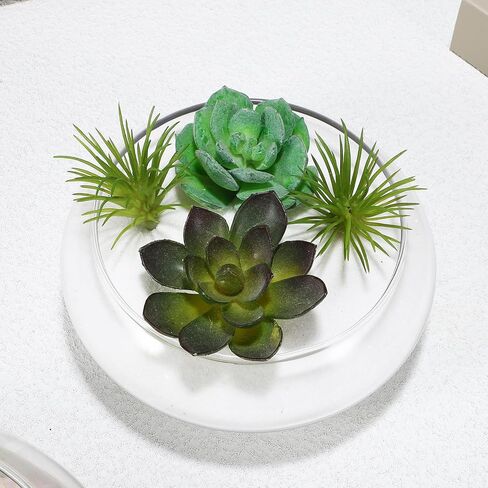 POPETPOP Glass Vase Bowl, 2pcs Wide Mouth Flower Vase Round Terrarium Glass Fish Bowl Hydroponic Planter Floral Container for Table Centerpiece, Wedding Event, Home Decoration in Saudi Arabia