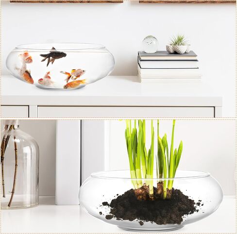 POPETPOP Glass Vase Bowl, 2pcs Wide Mouth Flower Vase Round Terrarium Glass Fish Bowl Hydroponic Planter Floral Container for Table Centerpiece, Wedding Event, Home Decoration in Saudi Arabia