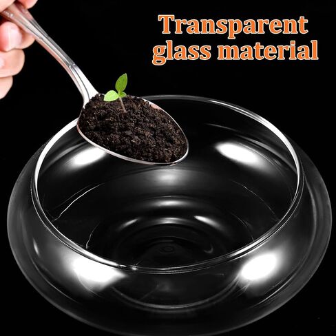 POPETPOP Glass Vase Bowl, 2pcs Wide Mouth Flower Vase Round Terrarium Glass Fish Bowl Hydroponic Planter Floral Container for Table Centerpiece, Wedding Event, Home Decoration in Saudi Arabia