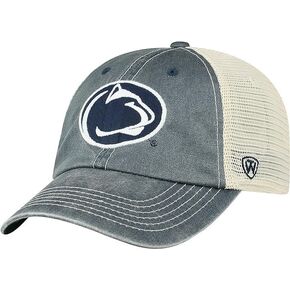 Michigan Collegiate Adjustable Hats