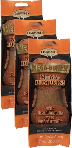 Mega Pumpkin Bone in Saudi Arabia