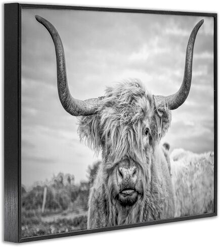 Stupell Industries Black and White Highland Cow Photograph Framed Giclee Art Design By Joe Reynolds, 16.00" x 20.00" in Saudi Arabia