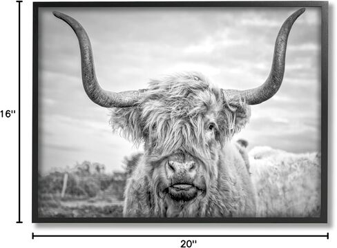 Stupell Industries Black and White Highland Cow Photograph Framed Giclee Art Design By Joe Reynolds, 16.00" x 20.00" in Saudi Arabia