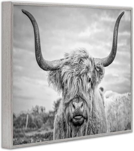 Stupell Industries Black and White Highland Cow Photograph Framed Giclee Art Design By Joe Reynolds, 16.00" x 20.00" in Saudi Arabia