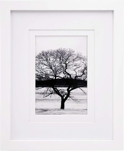 إطار صورة Egofine مقاس 8x10 مصنوع من الخشب الصلب مغطى بزجاج شبكي، صور عرض 4x6/5x7 مع حصيرة أو 8x10 بدون حصيرة لعرض سطح الطاولة وإطار صورة مثبت على الحائط، أزرق داكن in Kuwait