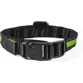 Rechargable Water Resistant LED Dog Collar, Small, Blue in Saudi Arabia