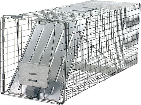 Havahart 1079SR Large 1-Door Humane Catch and Release Live Animal Trap for Raccoons, Cats, Bobcats, Beavers, Small Dogs, Groundhogs, Opossums, Foxes, Armadillos, and Similar-Sized Animals in Kuwait
