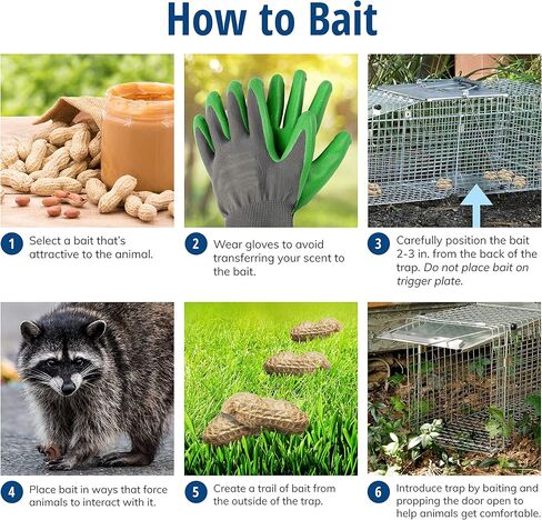 Havahart 1079SR Large 1-Door Humane Catch and Release Live Animal Trap for Raccoons, Cats, Bobcats, Beavers, Small Dogs, Groundhogs, Opossums, Foxes, Armadillos, and Similar-Sized Animals in Kuwait