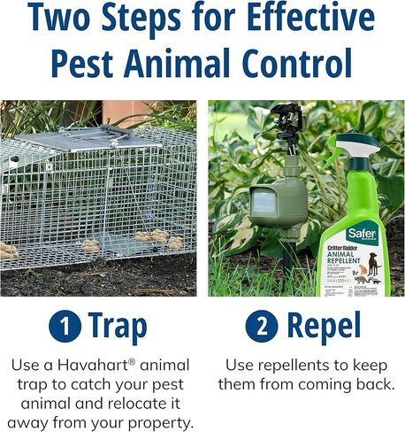 Havahart 1079SR Large 1-Door Humane Catch and Release Live Animal Trap for Raccoons, Cats, Bobcats, Beavers, Small Dogs, Groundhogs, Opossums, Foxes, Armadillos, and Similar-Sized Animals in Kuwait