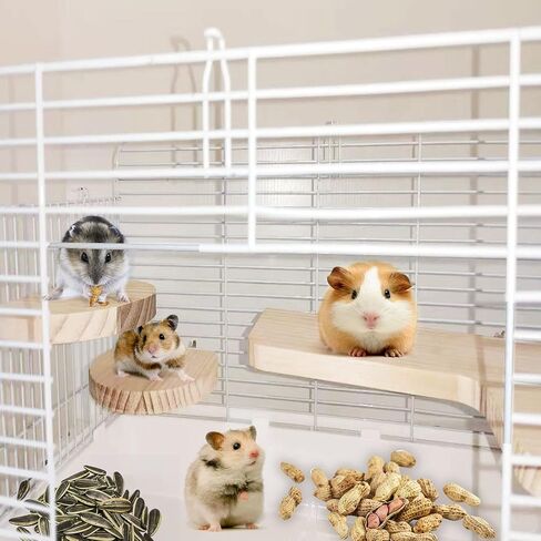 Chinchilla Cage Accessories Hamster Accessories, Chinchilla Toys Wood Platform Dwarf Hamster Cage Board, Chinchilla Cage Sturdy Standing and Jumping Wooden Board for Parrot Cage Rat Cage (Board) in Saudi Arabia