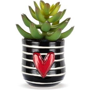 DEMDACO Heartful Home by Tracy Pesche Collection Mini Faux Succulent Red Hearts Black Dot 2 x 1.5 Stoneware Decorative Home Table Top Décor