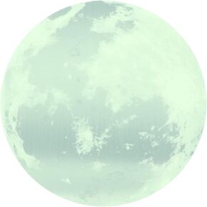 in The Dark Moon, 11.8 Inch Luminous Moon Wall Decal Wall Stickers for Home Bedroom Kids Room Decor (Silver-Green Light)