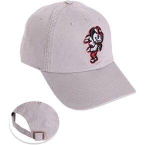 Desert Cactus The Ohio State University Baseball Hat OSU Buckeyes Brimmed Embroirderd Hats Cap Adjustable Cloth Strap Adult (Style E1) Gray