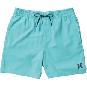 Hurley Men's One & Only Solid 17" Volley