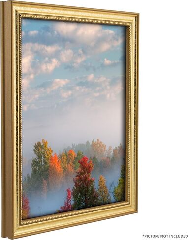 Craig Frames 314GD 24 x 36 Inch Picture Frame, Ornate Gold, Set of 2 in Kuwait