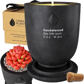 Matani Concrete Cement Candle Planter - Aromatherapy Candles for Home Scented, Soy Candles - Scented Candle & Dual Purpose Jar Candles, Strong Scented Candles - Parent (Grey Lavender)
