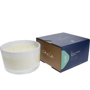 تراب - رقم 13 متجر بوب فلاور - 16 أونصة. شمعة بثلاث فتائل - عطر منزلي عطري برائحة الزهور من الزهور الطازجة والسيقان الخضراء المقطوعة ونفحات مائية - مزيج شمع الصويا in Kuwait