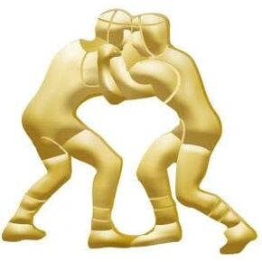 Crown Awards 1"x 1" Wrestling Pins, Perfect Chenille Wrestling Gold Lapel Pins to Reward Wrestlers Prime