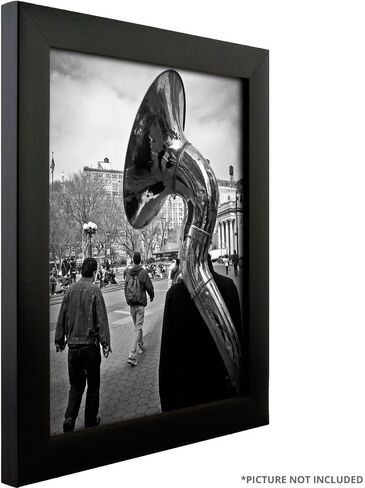 Craig Frames Contemporary Picture Frame, 20 x 30 Inch, Black in Kuwait