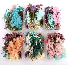 1 Box Real Natural Dried Flowers Multiple Colorful Assorted Flower for DIY Aromatherapy Candle Photo Frame Home Decoration Pendant Necklace Jewelry Filling Materials