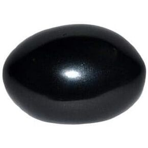 Shaligram GANDAKI River Natural Black Stone Shaligram Shila for Pooja for Shivji Idol (Black)