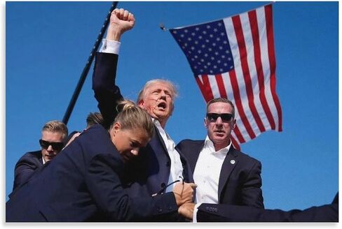 Alicecally Donald Trump Assassination Canvas Poster Wall Art Decor Print Picture Paintings for Living Room Bedroom Decoration 08x12inch(20x30cm) in Saudi Arabia