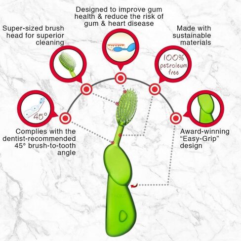 RADIUS Toothbrush Big Brush, Right Hand, BPA Free and ADA Accepted, Designed to Improve Gum Health and Reduce The Risk of Gum Disease, Berry/Natural, 1 Count in Saudi Arabia