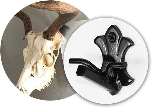 Bambi Bracket for Small & Medium Size Game - 50lbs Capacity European Skull Wall Mount - Ideal for Whitetail and Mule Deer, Antelope, Black Bear and Wolf Mounting - Made in USA in Saudi Arabia