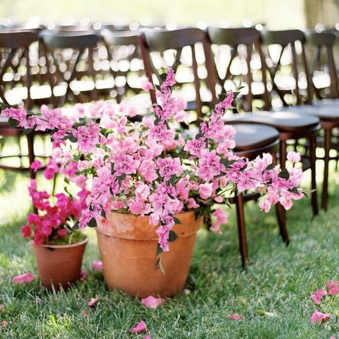 10PCS Bougainvillea Artificial Flowers 29.50" Silk Bougainvillea Vines Fake Bougainvillea Branches Purple Long Stem Faux Bougainvillea for Home Garden DIY Decor Wedding Centerpieces (Purple) in Saudi Arabia