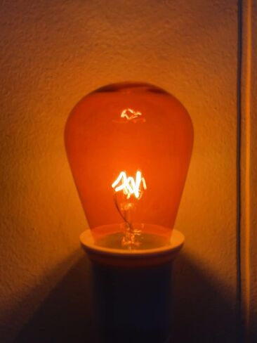 String Light Company S1411WA Amber S14 Light Bulb with E26 Base, 11-Watt (Pack of 12) in Saudi Arabia