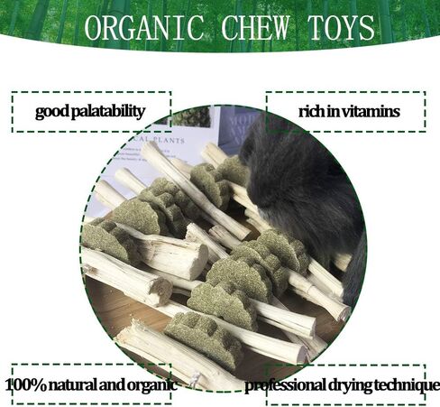 kathson Chinchilla Treats, Bunny Chew Toys for Rabbits Teeth Grinding, Natural Apple Wood Guinea Pigs Treats, Sticks for Rodent Pets Rats Hamsters Dwarf Rabbits Squirrels and Gerbils in Kuwait