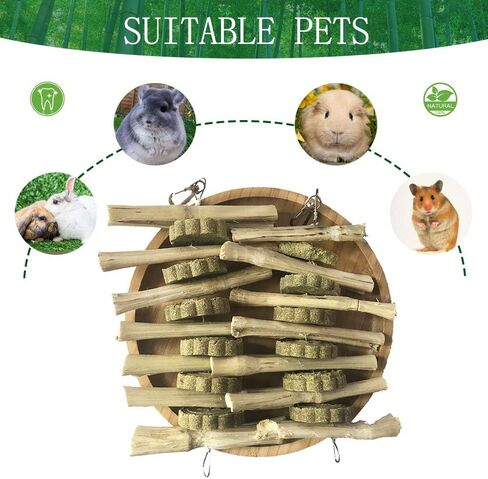 kathson Chinchilla Treats, Bunny Chew Toys for Rabbits Teeth Grinding, Natural Apple Wood Guinea Pigs Treats, Sticks for Rodent Pets Rats Hamsters Dwarf Rabbits Squirrels and Gerbils in Kuwait