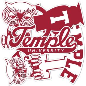 Desert Cactus Temple University Stickers TU Owls Vinyl Decals Laptop Water Bottle Car Type 2 (T2 Vintage 1)