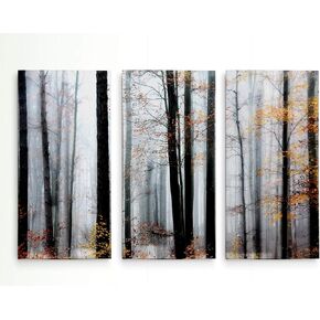 Renditions Gallery Winter Curve 3 Panel Wall Art For Home, Office, Bedroom