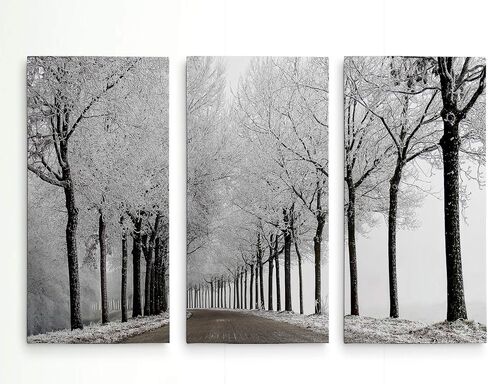 لوحة فنية جدارية مكونة من 3 لوحات فنية جدارية من Renditions Gallery Winter Curve للمنزل والمكتب وغرفة النوم in Kuwait